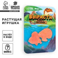 Растущее животное «Золотая рыбка», МИКС Растущее животное «Золотая рыбка», МИКС