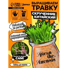 Набор для опытов «Выращиваем травку», своими руками, оранжевый Набор для опытов «Выращиваем травку», своими руками, оранжевый