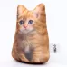 Антистресс игрушка «Котёнок рыжий»