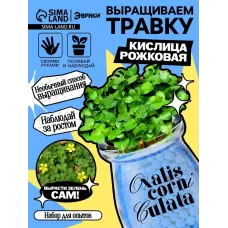 Набор для опытов «Выращиваем травку», своими руками, голубой Набор для опытов «Выращиваем травку», своими руками, голубой