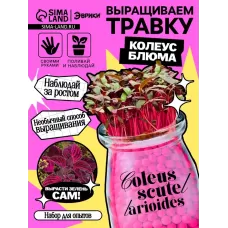 Набор для опытов «Выращиваем травку», своими руками, розовый Набор для опытов «Выращиваем травку», своими руками, розовый