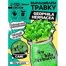 Набор для опытов «Выращиваем травку», своими руками, зеленый Набор для опытов «Выращиваем травку», своими руками, зеленый