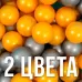 Шарики для сухого бассейна с рисунком, диаметр шара 7.5 см, набор 50 штук, цвет металлик Шарики для сухого бассейна с рисунком, диаметр шара 7.5 см, набор 50 штук, цвет металлик