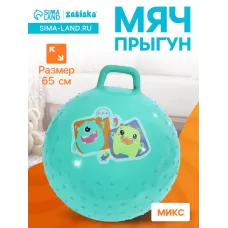 Мяч прыгун массажный 65 см, МИКС Мяч прыгун массажный 65 см, МИКС