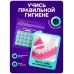 Набор для опытов «Анатомия», челюсть человека Набор для опытов «Анатомия», челюсть человека
