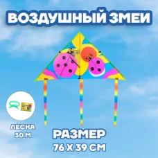 Воздушный змей «Божья коровка», с леской Воздушный змей «Божья коровка», с леской