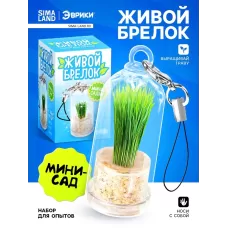Набор для опыта «Живой брелок», мини-сад, выращивание травы Набор для опыта «Живой брелок», мини-сад, выращивание травы