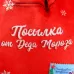 Рюкзак - мешок детский новогодний «Посылка от Деда Мороза», 35×30 см Рюкзак - мешок детский новогодний «Посылка от Деда Мороза», 35×30 см