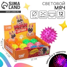Мяч детский резиновый световой «Пёсики», цвета МИКС, в шоубоксе Мяч детский резиновый световой «Пёсики», цвета МИКС, в шоубоксе