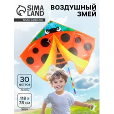 Воздушный змей «Божья коровка», с леской Воздушный змей «Божья коровка», с леской