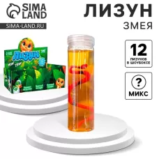 Лизун - слайм «Змея», цвета МИКС Лизун - слайм «Змея», цвета МИКС