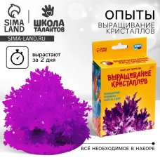 Выращивание кристаллов «Опыты. Лучистый кристалл», цвет фиолетовый Выращивание кристаллов «Опыты. Лучистый кристалл», цвет фиолетовый