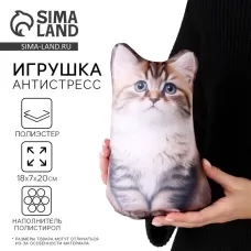 Антистресс игрушка «Котик Сибиряк» Антистресс игрушка «Котик Сибиряк»