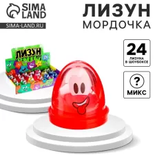 Лизун - слайм «Мордочка», МИКС Лизун - слайм «Мордочка», МИКС